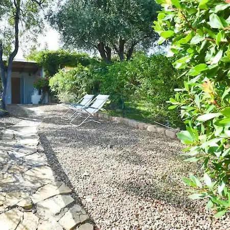 Amaranta